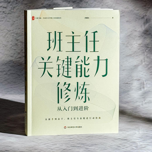 班主任关键能力修炼 从入门到进阶 大夏书系 洪耀伟 班主任成长 商品图3