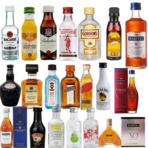 调酒迷你小酒版白朗姆百利甜伏特加威士忌野格50ml洋酒 商品图0