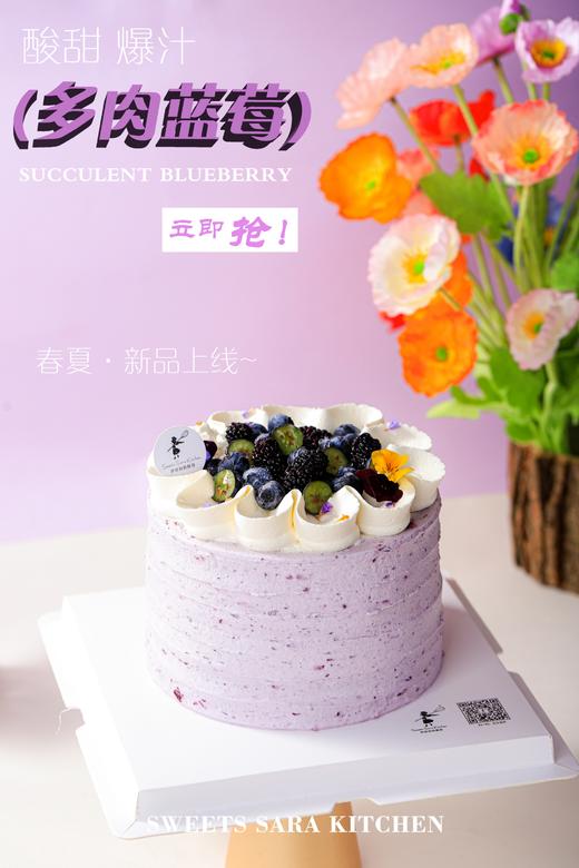 多肉蓝莓 | 沙拉拉的厨房 商品图3