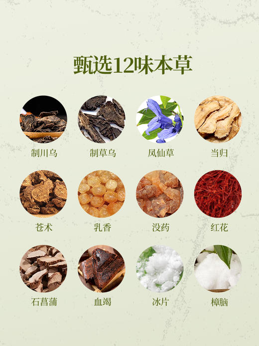 【龙骨凤脉贴】艾草龙骨久贴督脉艾灸贴背部敷贴 商品图3