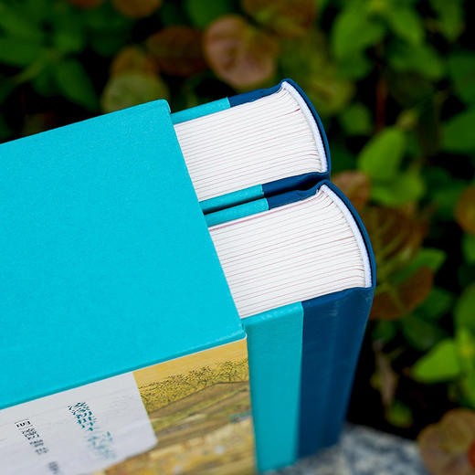 凌濛初批评本二刻拍案惊奇（精装全二册） 商品图3