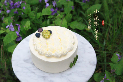 小森林·森系蛋糕丨口味款奶油蛋糕 商品图1