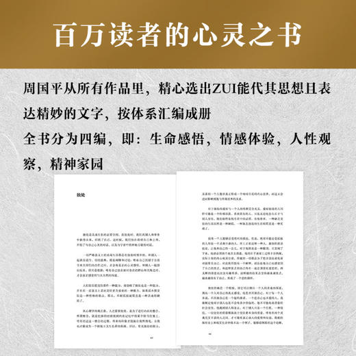 人生哲思录 周国平 生命感悟 情感体验 人性观察 精神家园 人生感悟 果麦出品 商品图4