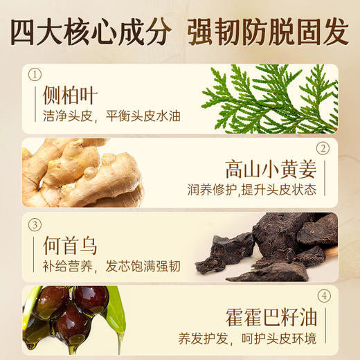 【便携套装 】卓蓝雅经典款生姜防脱洗护125ml*2 出游便携 洗护更安心 商品图3