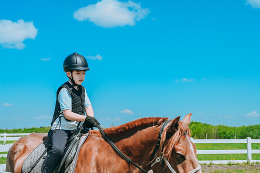 【少年骑马营】6天5晚专业马术学习 定金专拍 商品图1