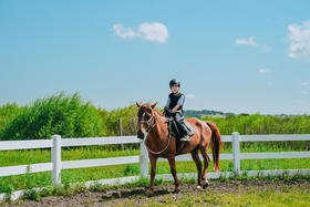 【少年骑马营】6天5晚专业马术学习 定金专拍
