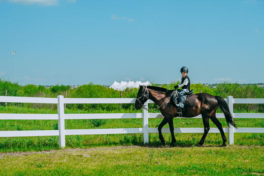 【少年骑马营】6天5晚专业马术学习 定金专拍 商品图6