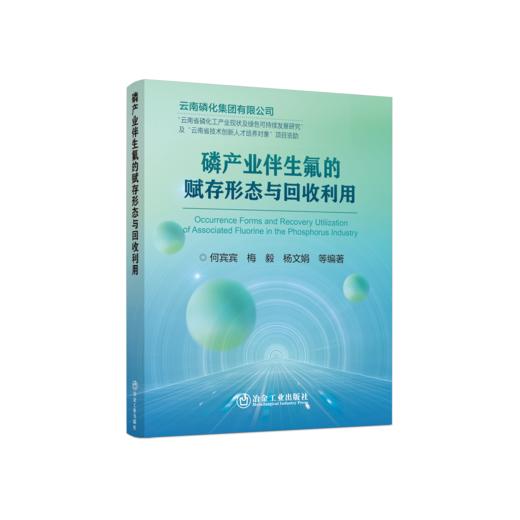 磷产业伴生氟的赋存形态与回收利用 商品图0