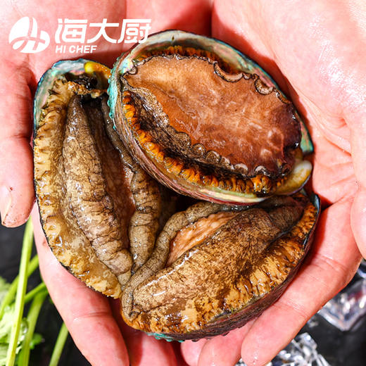 海大厨-大连鲍鱼8头（305g） 商品图2