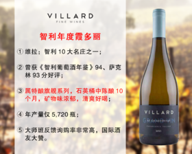 【现货特促，整箱更优惠】智利10大家族名庄：维拉酒庄特酿霞多丽干白（2023年）