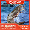 海大厨-甄选黑虎虾（为保证品质，限辽宁省内发货） 商品缩略图0