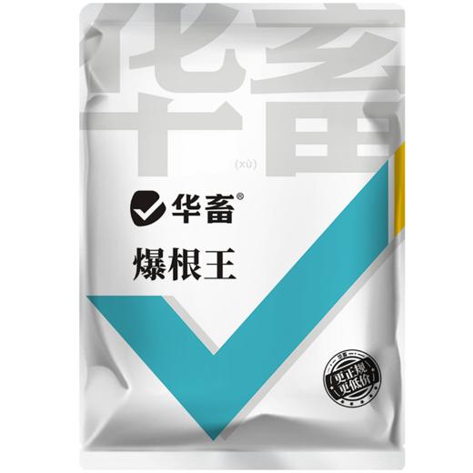 华畜爆根王壮根肥水草生根保草促长改底改善水质长根宝水草生根粉 商品图6