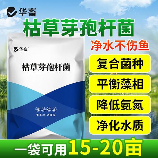 华畜枯草芽孢杆菌菌种水产养殖专用菌原种菌粉虾蟹塘活菌em益生菌 商品图0