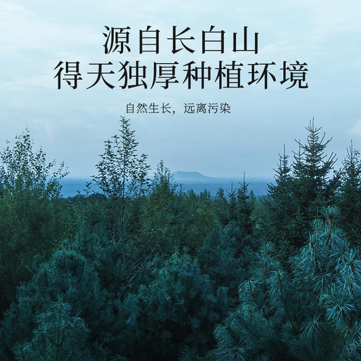 【冬季滋补】杞里香50g（5g*10袋）盒装花旗参固体饮料，精选长白山5年足龄老参主根，配料干净5g小条包装，冷热水都可冲泡，速溶即饮 商品图4