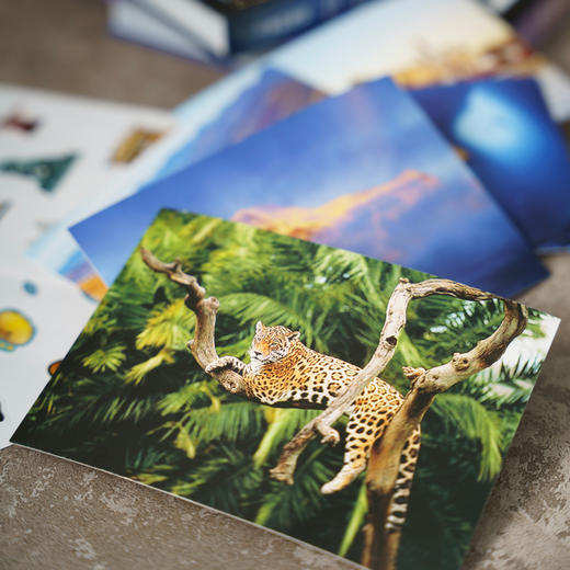 《美丽的地球·探索世界》系列（全）：高山+大河+水下天堂+文明奇迹+国家公园-分销 商品图3