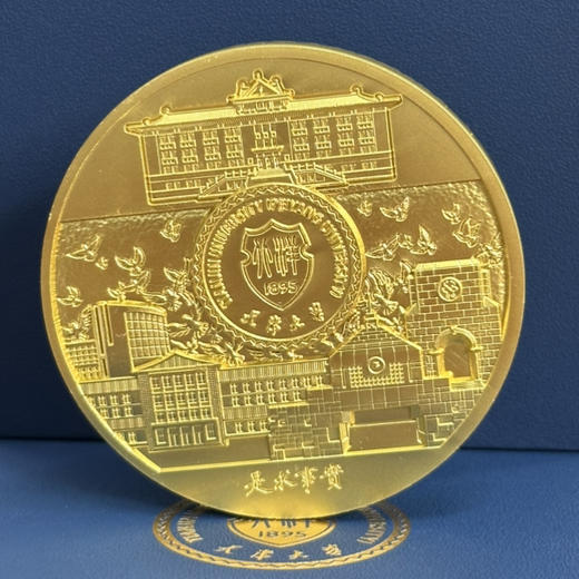 北洋之光纪念徽章 商品图4