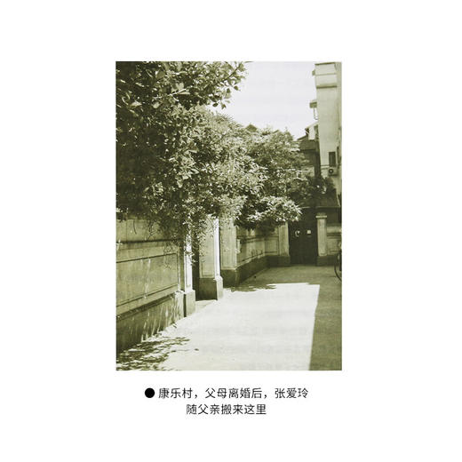 花开花落 张爱玲 淳子著 克勒门文丛 三联书店 商品图5