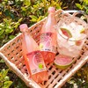 耶气满满芭乐椰子水气泡果汁饮料混合气泡水 商品缩略图2