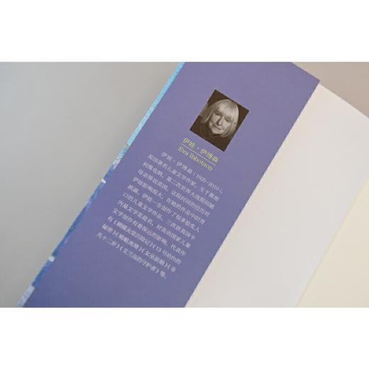 【独秀书香卡】魔法象·故事森林  艾兰岛的守护者  8~14岁及以上 儿童小说 儿童文学 商品图4