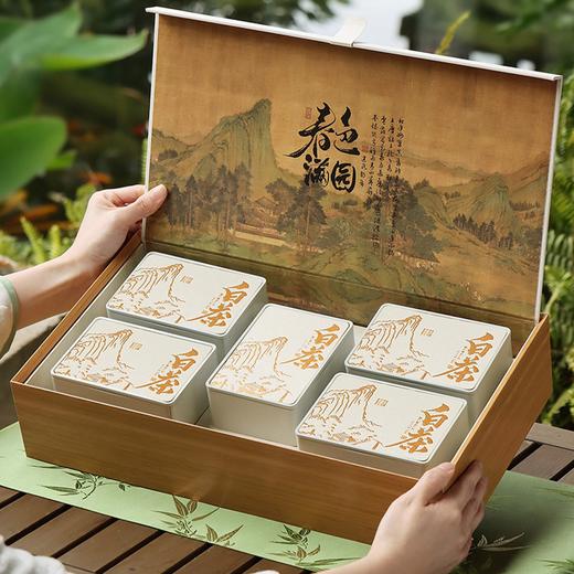 春色满园【米.5听白茶半斤装 】38元1套，共1套 商品图4