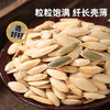 西域美农  美人甲南瓜子250g 香而不腻，好吃不燥 配料表南瓜子 食用盐 商品缩略图1