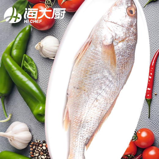 海大厨-深海黄鱼400g（201.0943） 商品图1