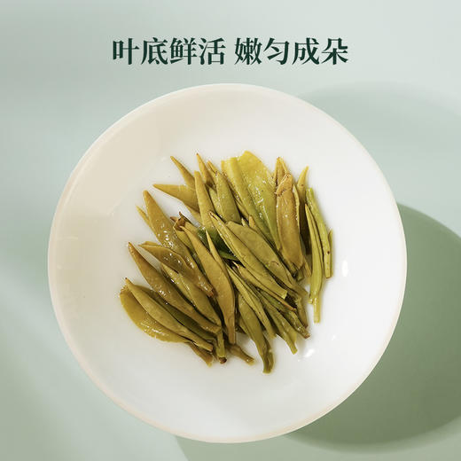 【25年新茶】华祥庄园-明前头采龙井绿茶125g 商品图7