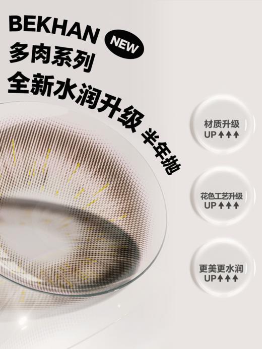 【多肉系列-半年抛合集】Bekhan丨水润升级限定款半年抛2片/副（花呗支付联系客服） 商品图1