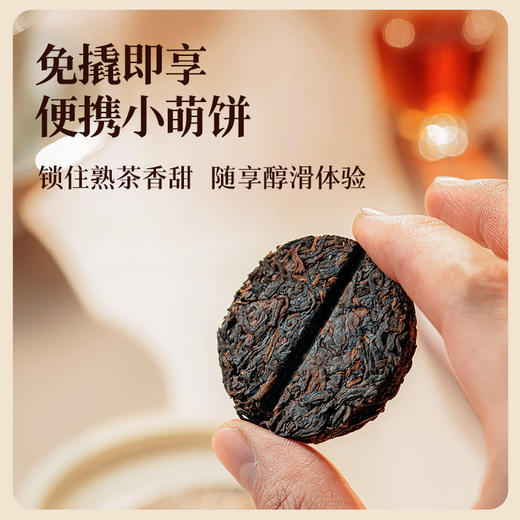 [特惠尝鲜]澜沧古茶2025年景迈之春云南名山老树散茶8g 商品图2