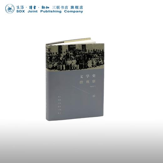 文学史微观察 李洁非 著 文学研究  三联书店 商品图0