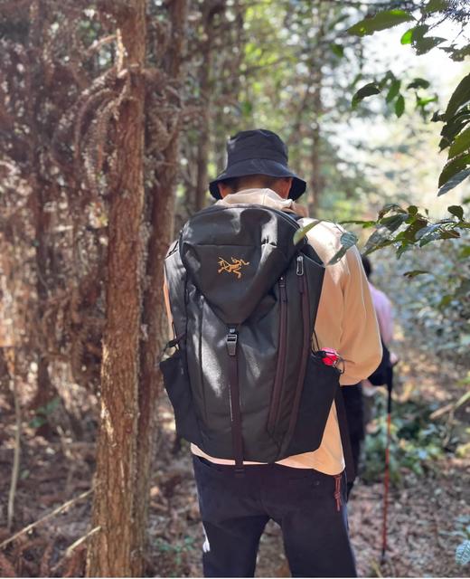 鸟 Mantis20L刺绣多功能户外旅行双肩背包 特惠 Z-15199 商品图8