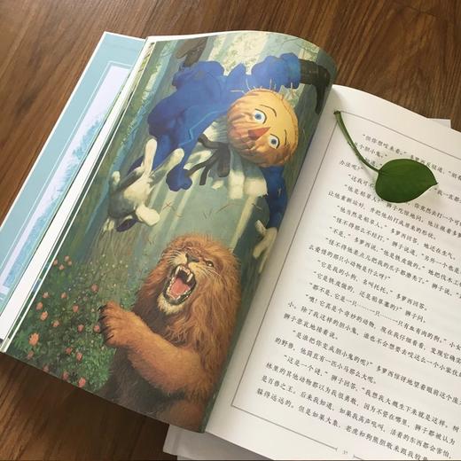 【青葫芦】大而美的名著系列全4册 7-10岁 著名翻译家任溶溶、杨静远、马爱农等全译本 商品图3