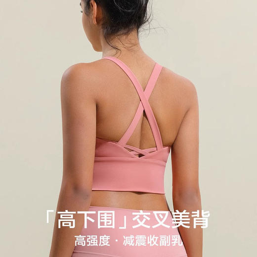 跃牌【安琪拉系列】新款高强度大码运动内衣固定胸垫美背款跑步瑜伽背心WXM238 商品图1