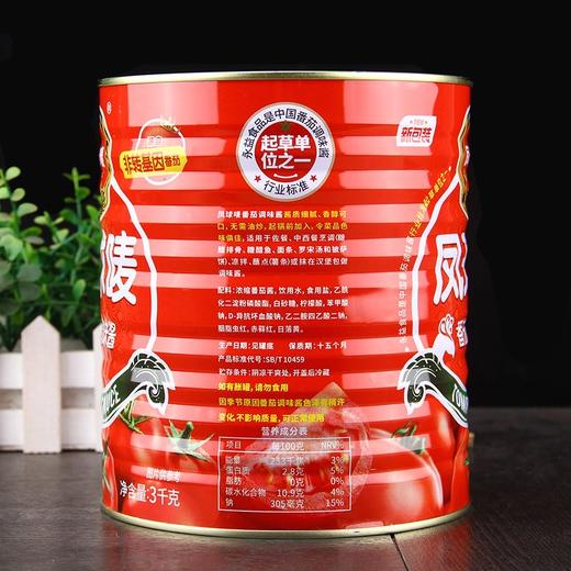 新疆凤球唛番茄调味酱3kg*6罐 易拉装整件36斤 商品图2