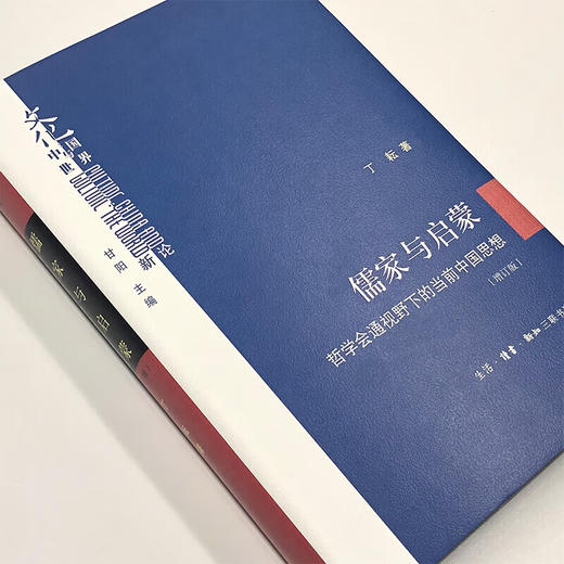 儒家与启蒙:哲学会通视野下的当前中国思想 丁耕 著 中国与世界新论  三联书店 商品图1