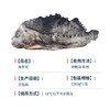 海大厨-海参斑 商品缩略图4