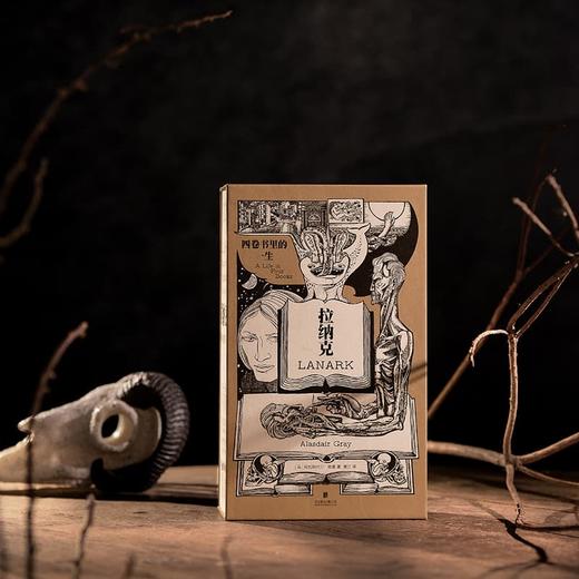 拉纳克：四卷书里的一生 商品图2