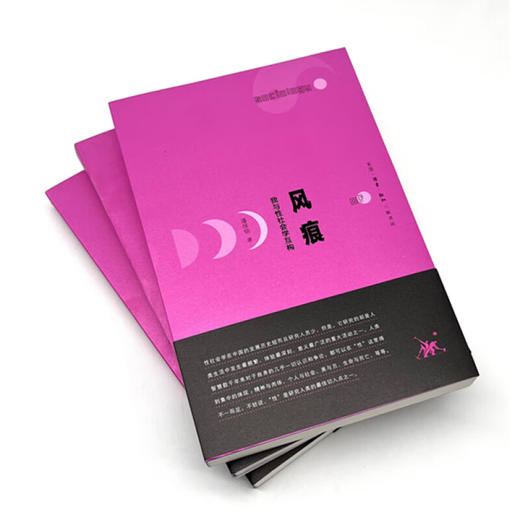 风痕：我与性社会学互构 潘绥铭 著 三联书店 商品图1