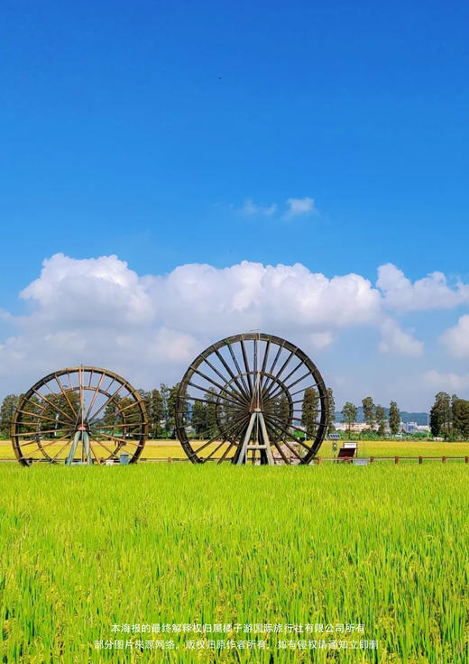【中山】 中山影视城+左步村纯玩一日游，美的业主专享 商品图2