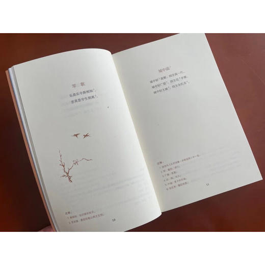 傅雷选给孩子的古诗读本 傅雷编选 文学 三联精选 三联书店 商品图3