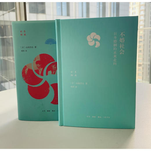 不婚社会：日本婚姻的未来走向 ［日］山田昌弘 著 社会科学 三联书店 商品图5