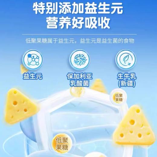 【1件起全国包邮】新疆特产 牧民人家高钙牛奶元气芝士酪（238g*1袋） 商品图1