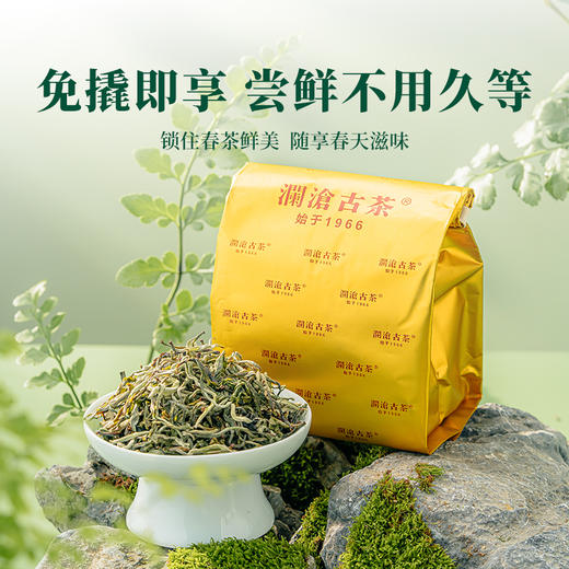 澜沧古茶2025年景迈之春明前春茶散茶50g 商品图4