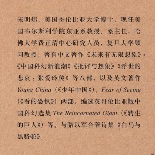 少年中国 民族青春与成长小说1900—1959年 宋明炜 著 《新青年》创刊110周年之际重估从觉醒年代出发的青春话语集合体 三联书店 商品图2