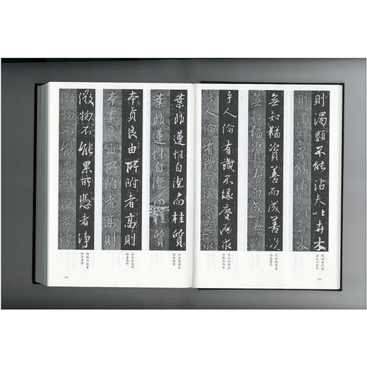 以王羲之的名义：《集王圣教序碑》的经典化之路 罗丰 著 开放的艺术史 三联书店 商品图4