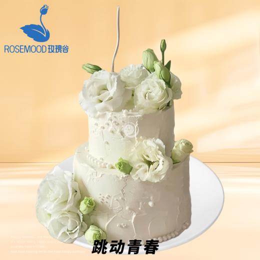 8+6英寸全年龄段人气爆款动物奶油生日蛋糕（12选1） 商品图9