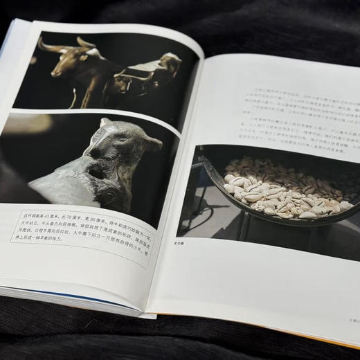 寻古中国 随机附赠书签一款 创造性回答 “何以中国”，沉浸式展现“是以中国” 央视《寻古中国》纪录片同名图书 三联书店旗舰店 商品图3