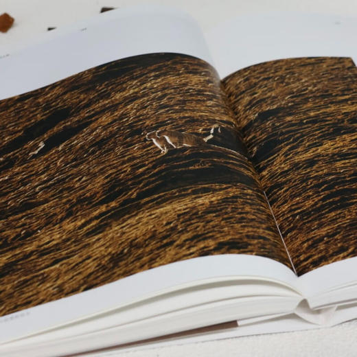 雪豹一家：卓玛王朝 骆晓耘著  野生动物摄影 纪实手札 配有120余幅珍贵高清摄影图 生活读书新知三联书店旗舰店 商品图1