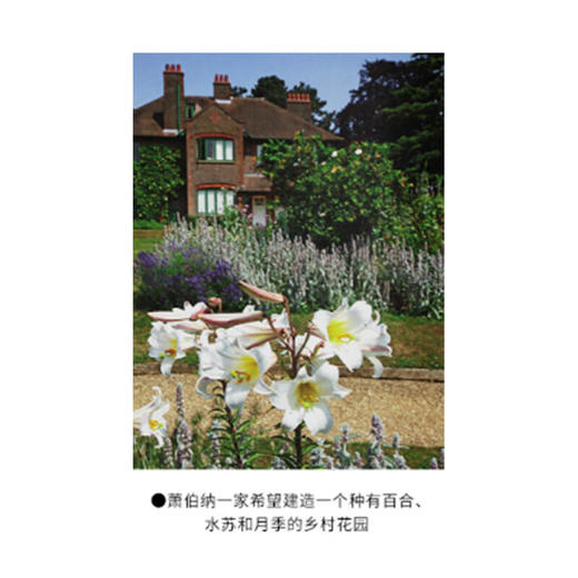 作家的花园 花园如何成为作家的灵感源泉 杰姬伯内特 著 蔡丸子 译 散文随笔 三联书店 商品图5