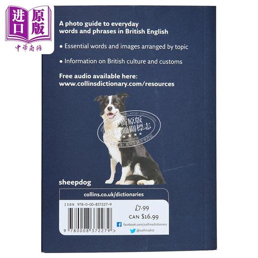 【中商原版】Collins English Visual Dictionary 英语视觉词典 英语日常单词和短语的图片指南 柯林斯视觉词典 英文原版 商品图1
